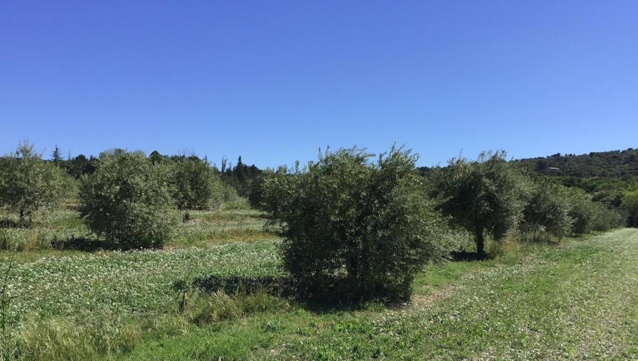 Ferme Oleicole Les Callis Gordes Eksteriør billede